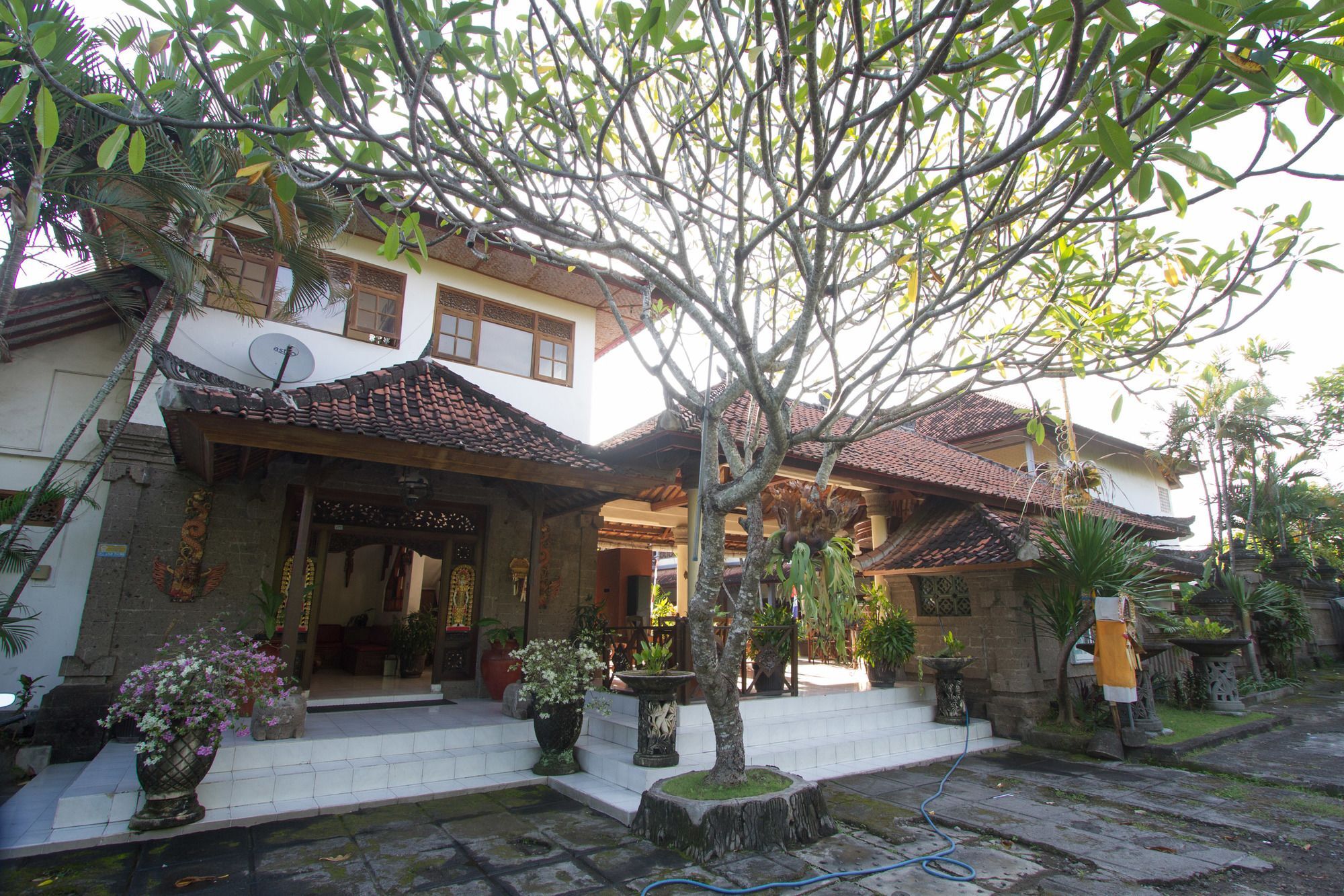 דנפסאר Hotel Bali Warma מראה חיצוני תמונה